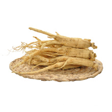 China manufacturer Customized Package Raw Ginseng Natural Dried bulk Ginseng Root for sale